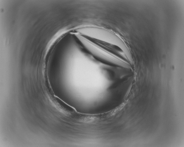 X0000085830152200704132046
