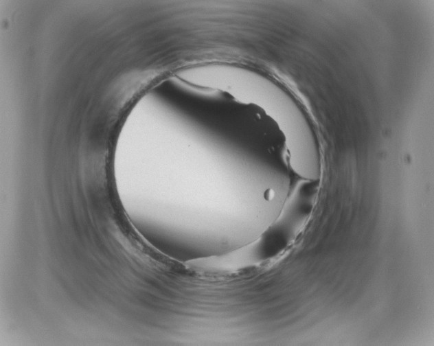 X0000085830154200704132046