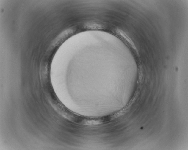 X0000085830163200704132047