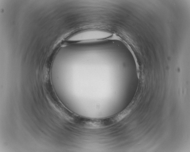 X0000085830164200704132047
