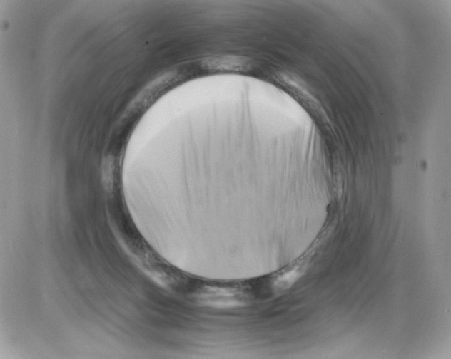 X0000085830167200704132047