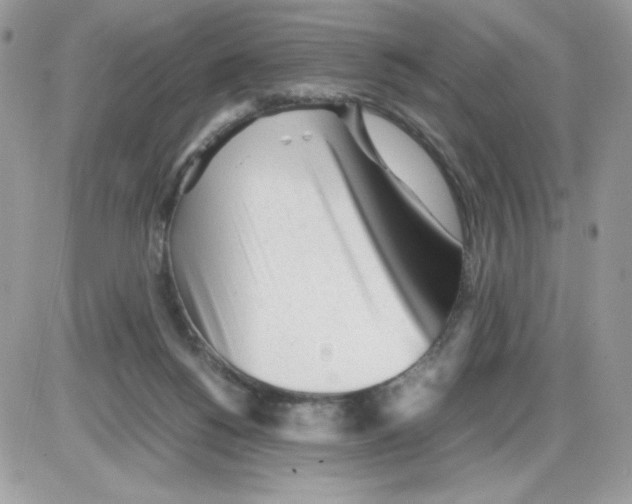 X0000085830168200704132047