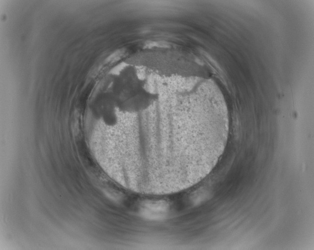 X0000085830169200704132047