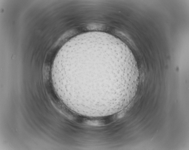 X0000085830171200704132047