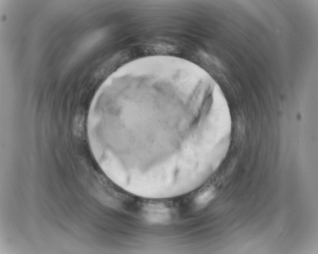 X0000085830177200704132047