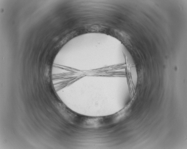 X0000085830178200704132047