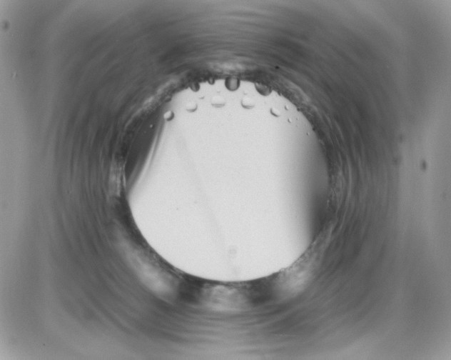X0000085830180200704132047