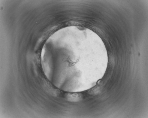 X0000085830181200704132047