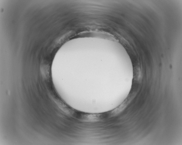 X0000085830184200704132047