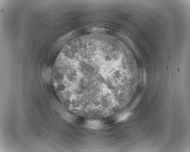X0000085830189200704132047