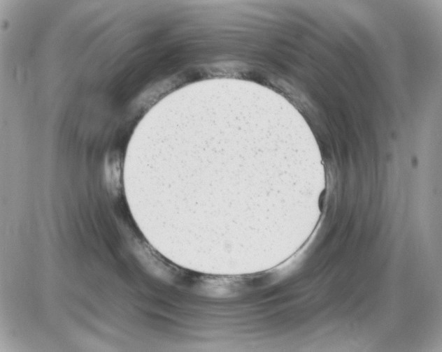 X0000085830190200704132047