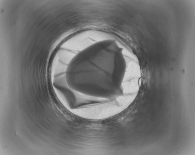 X0000085830196200704132046