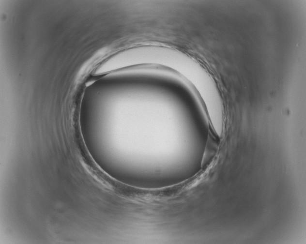 X0000085830197200704132046