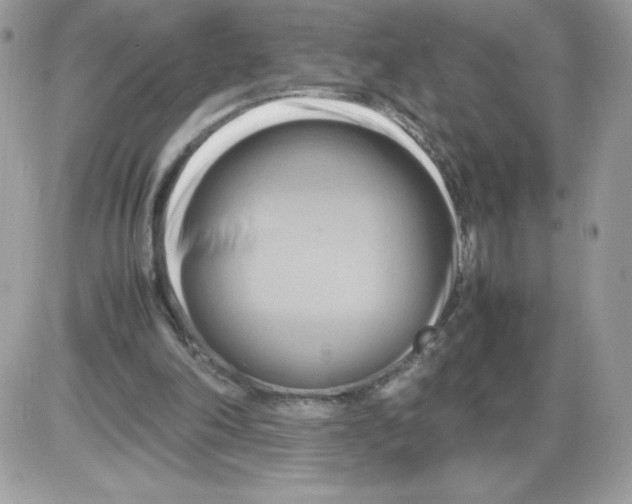 X0000085830198200704132046