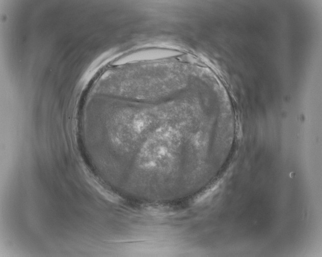 X0000085830199200704132046
