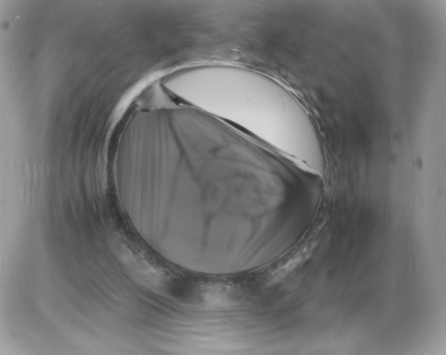 X0000085830200200704132046