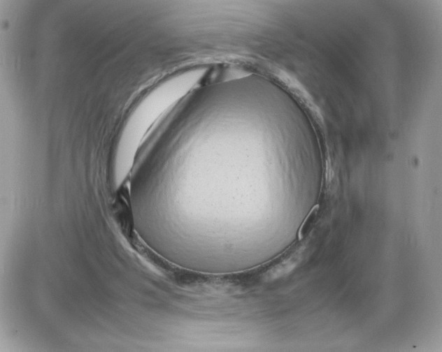 X0000085830201200704132046