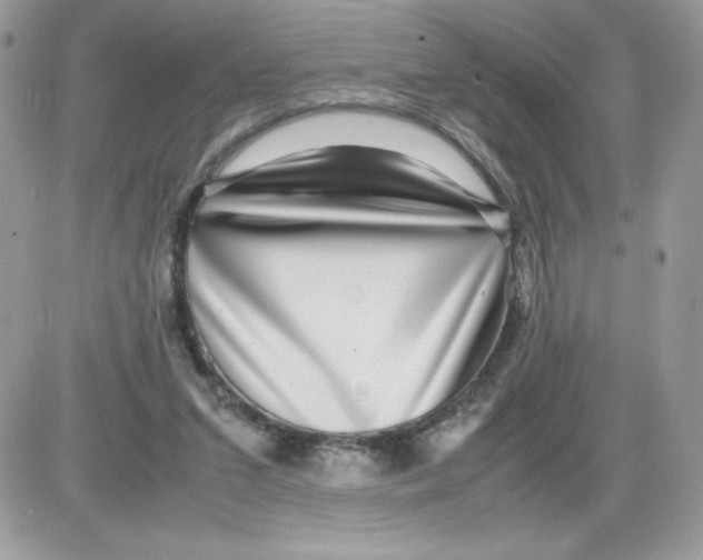 X0000085830207200704132046