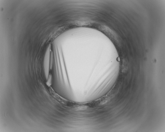 X0000085830210200704132046