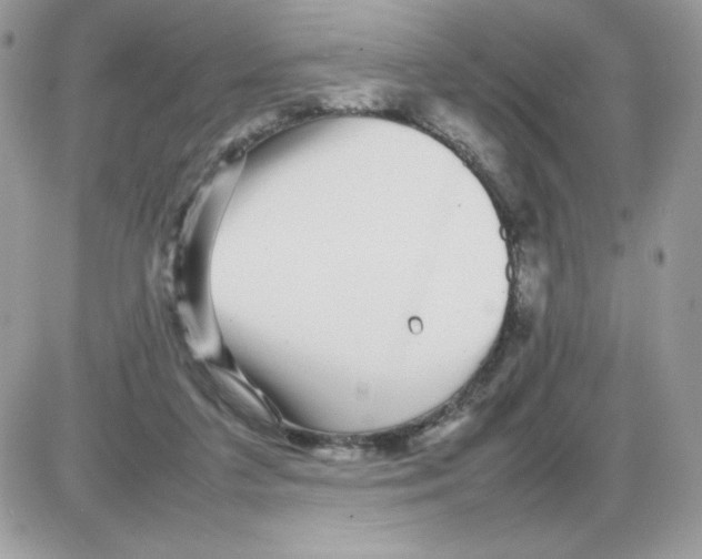 X0000085830211200704132046