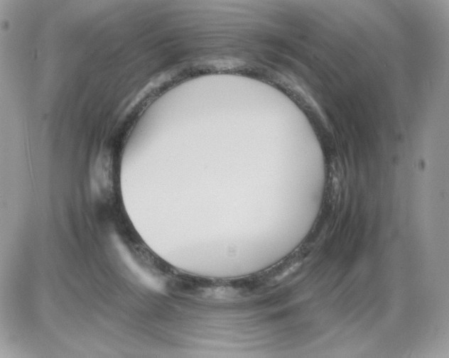 X0000085830212200704132046