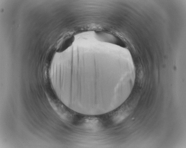 X0000085830214200704132046