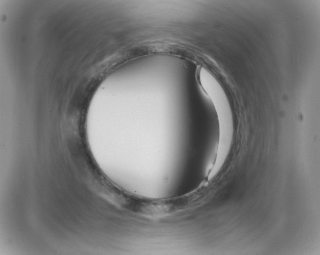X0000085830217200704132046