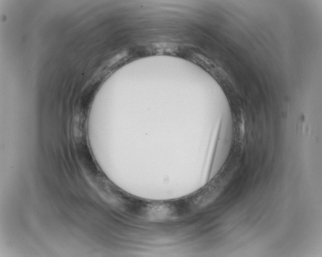 X0000085830218200704132046