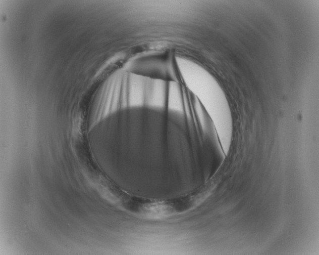 X0000085830219200704132046