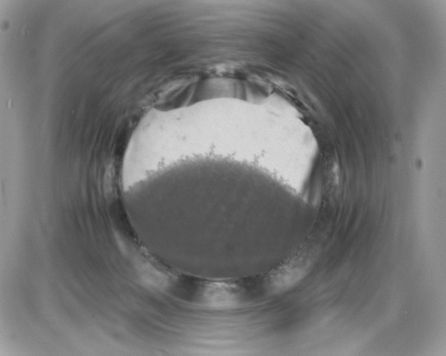 X0000085830222200704132046