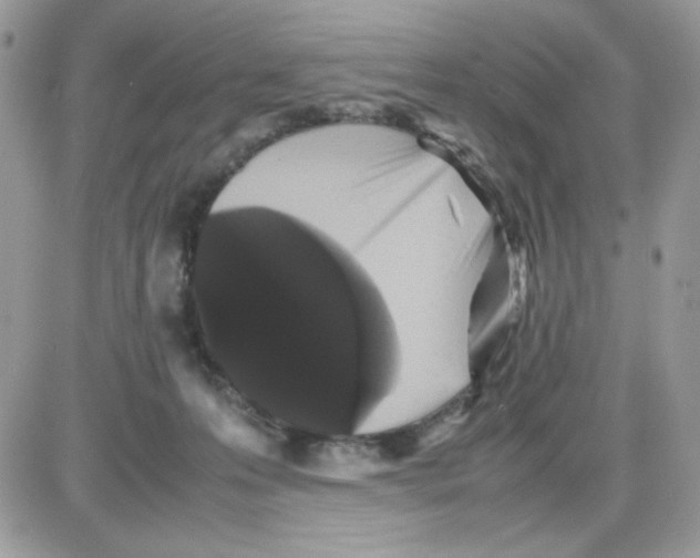 X0000085830223200704132046