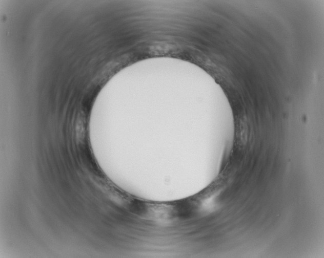 X0000085830226200704132046