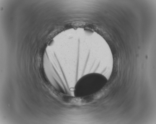 X0000085830227200704132046