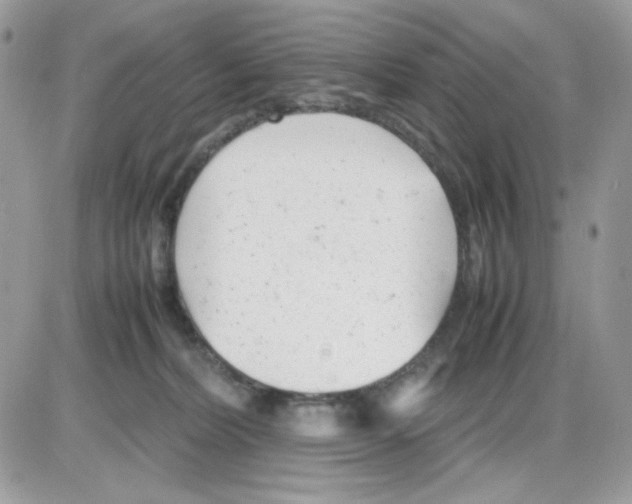 X0000085830228200704132046