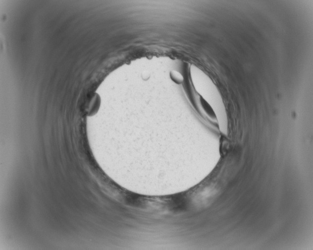 X0000085830229200704132046