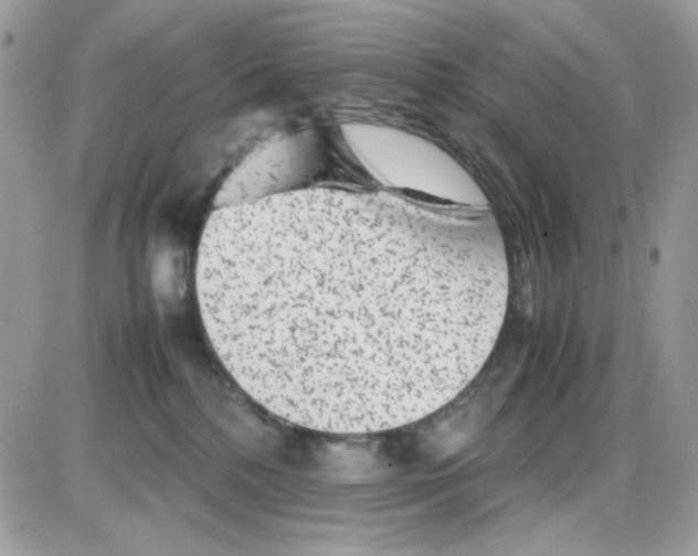 X0000085830232200704132046