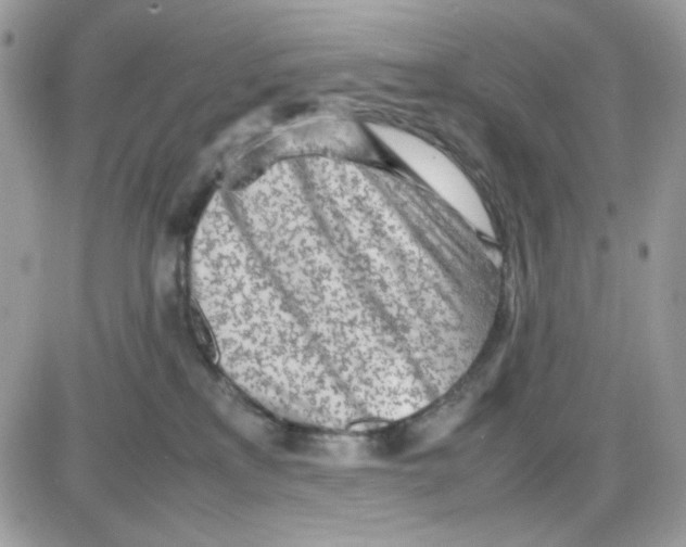 X0000085830233200704132046