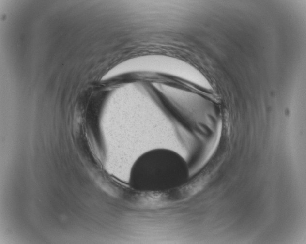 X0000085830235200704132046