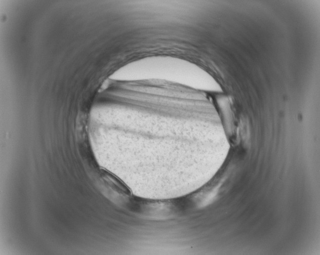 X0000085830237200704132046