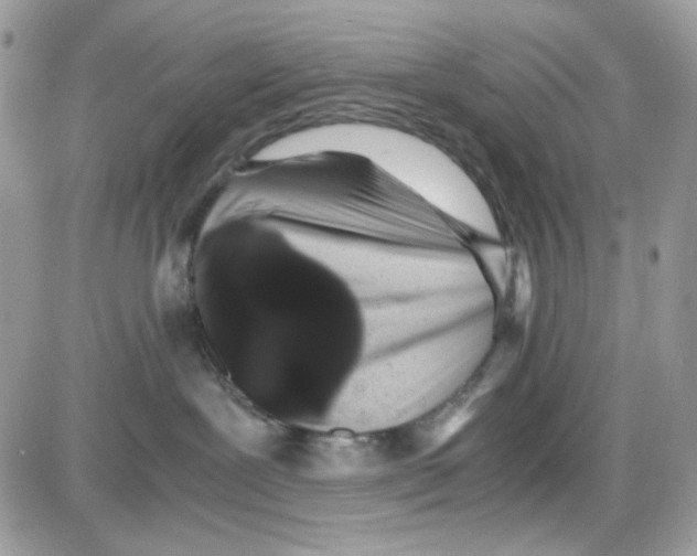 X0000085830239200704132045