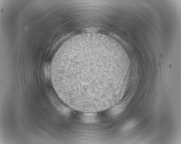 X0000085830240200704132045