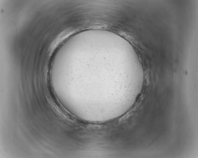 X0000085830242200704132045