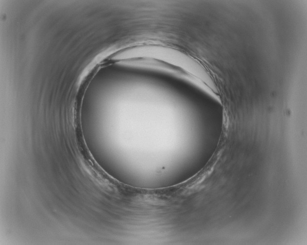 X0000085830244200704132045