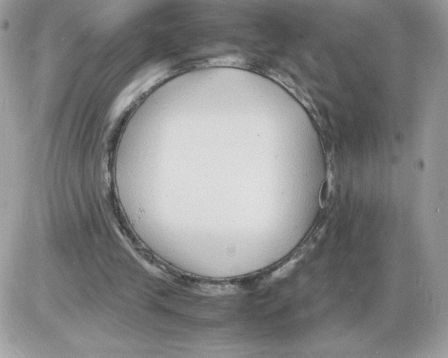 X0000085830245200704132045