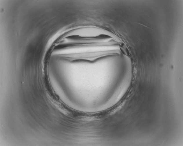 X0000085830246200704132045