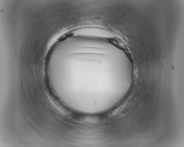 X0000085830248200704132045