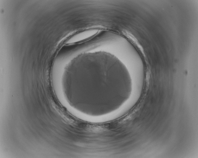 X0000085830249200704132045
