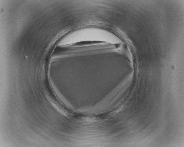 X0000085830250200704132045