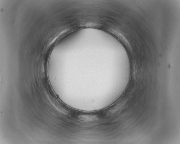 X0000085830251200704132045