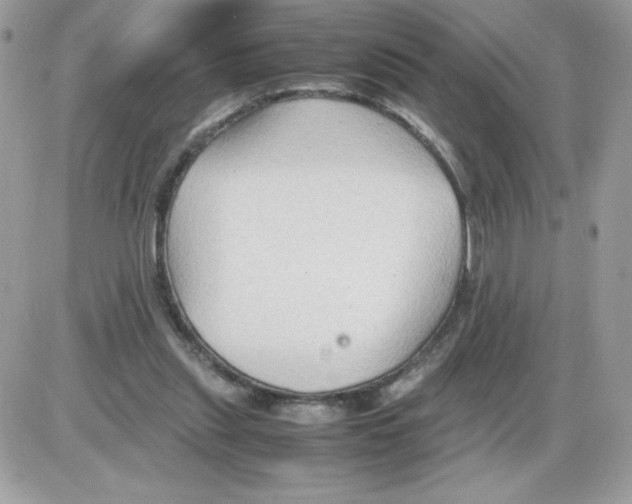 X0000085830253200704132045